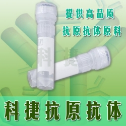 达氟沙星抗体 达氟沙星单抗 达氟沙星单克隆抗体 DAN抗体 Danofloxacin antibody